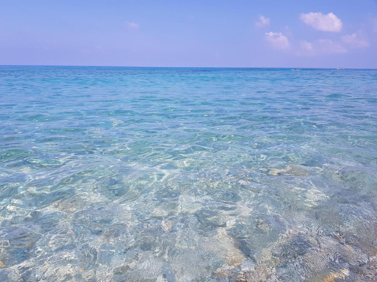 San Carlo - Terrazzo Sul Mare Con Ristorante E Pizzeria Bed & Breakfast Zambrone Luaran gambar