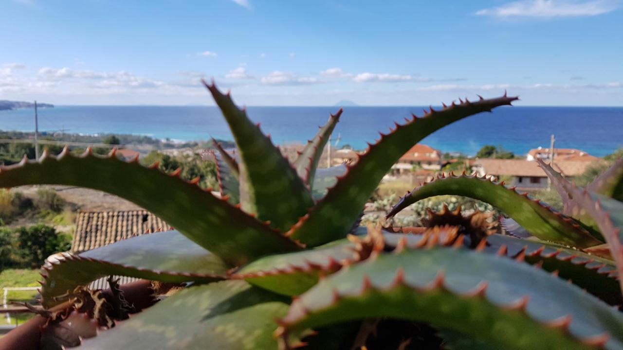 San Carlo - Terrazzo Sul Mare Con Ristorante E Pizzeria Bed & Breakfast Zambrone Luaran gambar